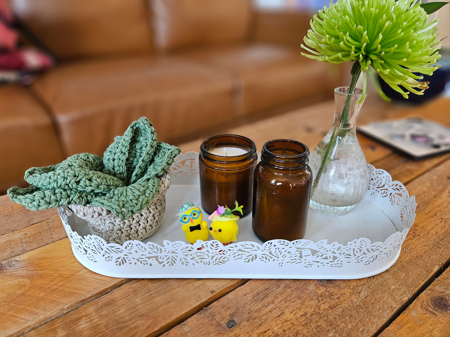 Plant Coaster set